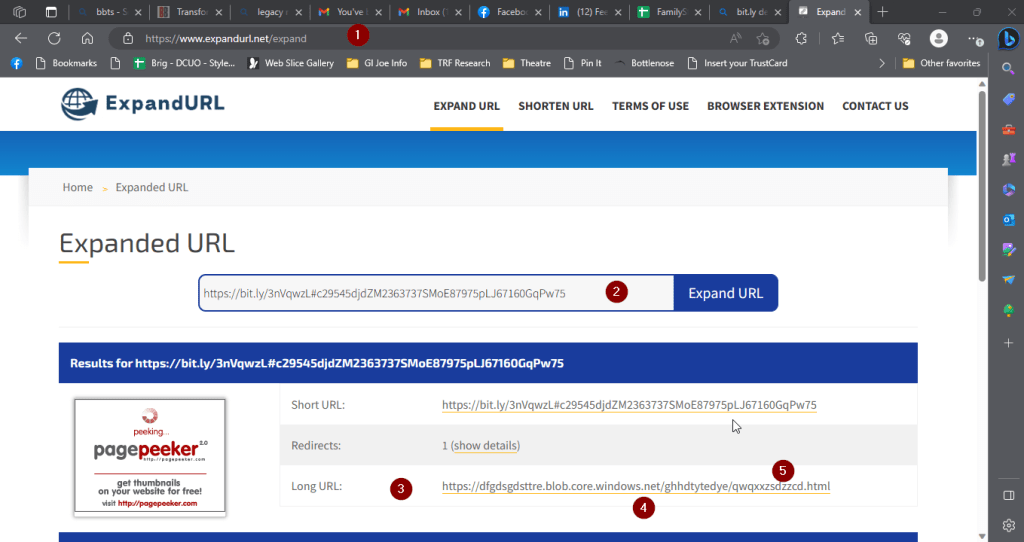 Sample screenshot of a URL expander in use.